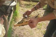IMG-20230621-WA0008