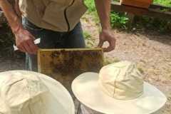 IMG-20230621-WA0020