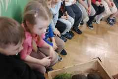 IMG-20260301-WA0001