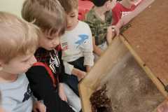 IMG-20260301-WA0002