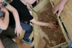 IMG-20260301-WA0003