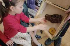IMG-20260301-WA0004