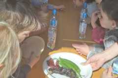 IMG-20250430-WA0043