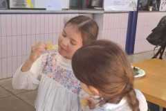 IMG-20250430-WA0047