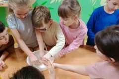 IMG-20250204-WA0003